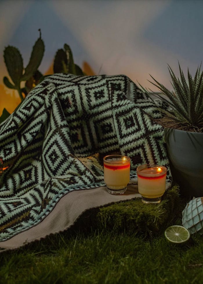 Warm outdoor scene with cozy blanket, candles, cacti, and plants.